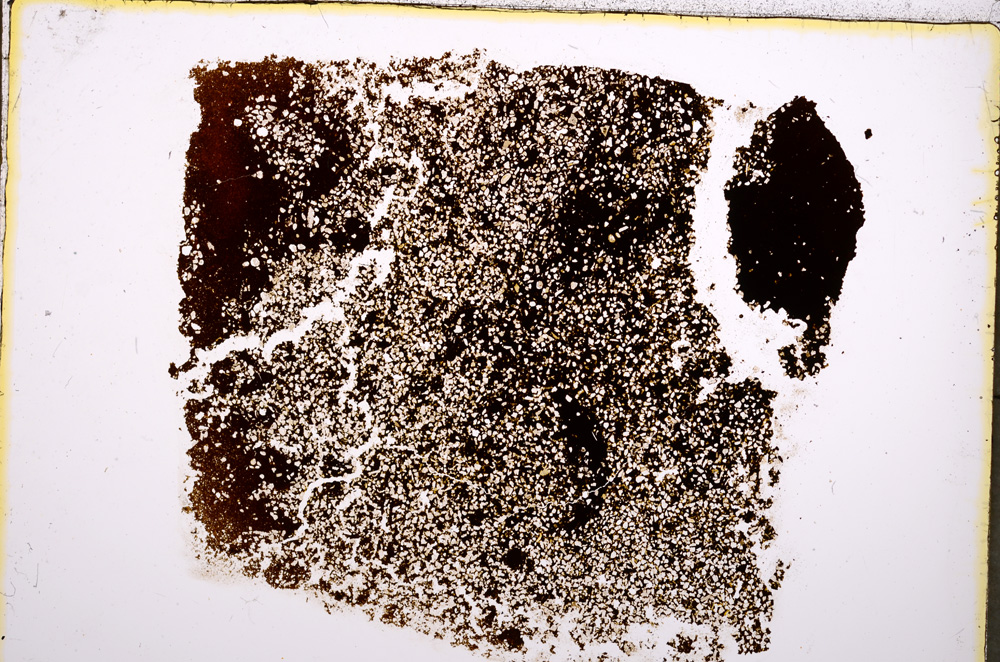 Plane Polarized, E18521