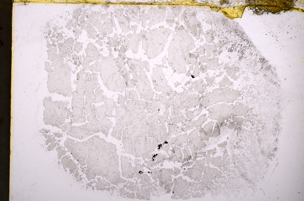 Plane Polarized, E18531/A