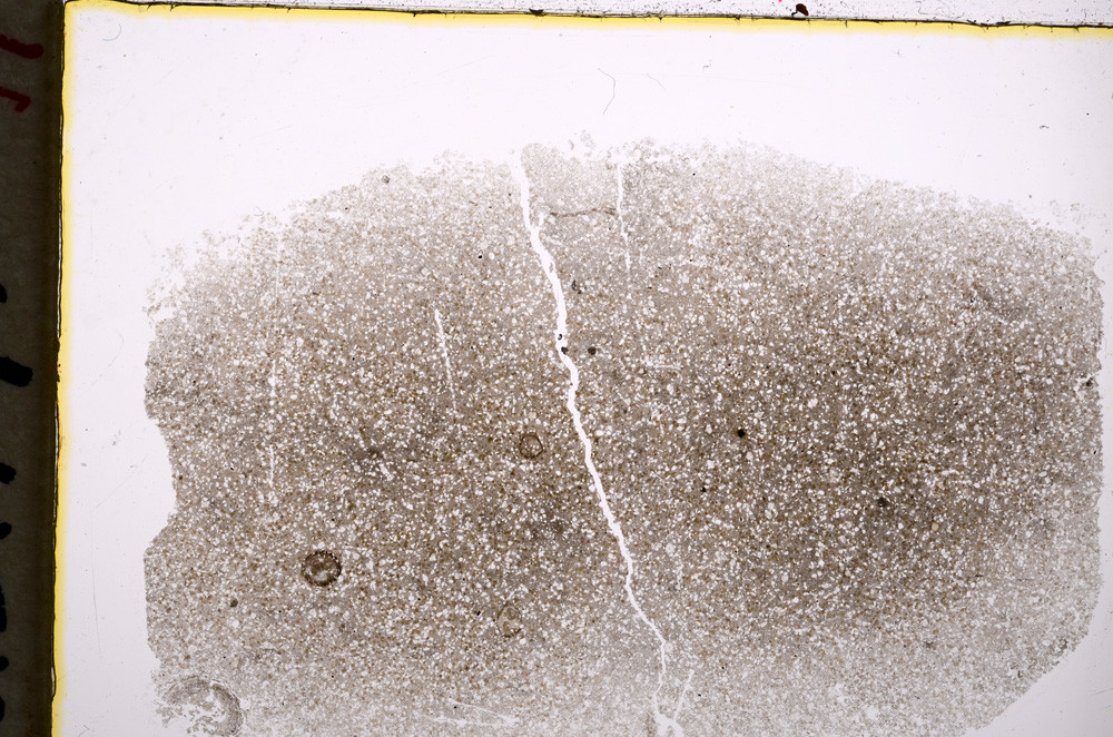 Plane Polarized, E18543