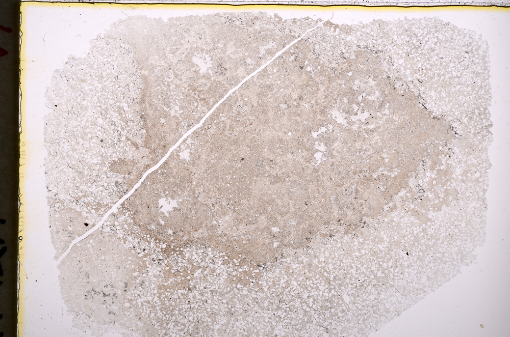 Plane Polarized, E18545