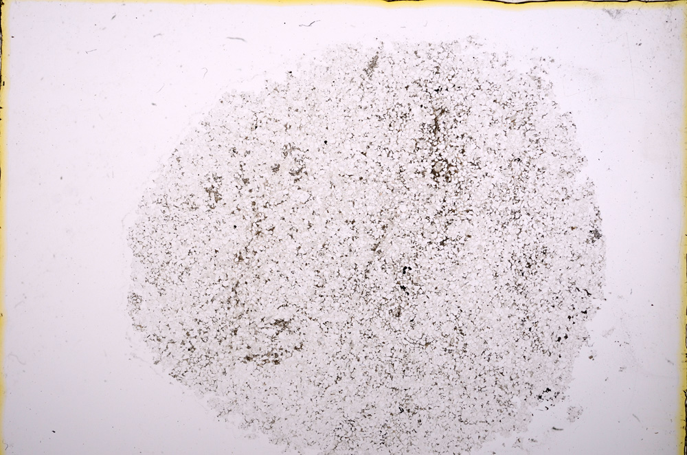 Plane Polarized, E18548