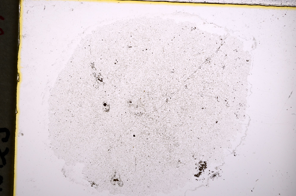 Plane Polarized, E18549