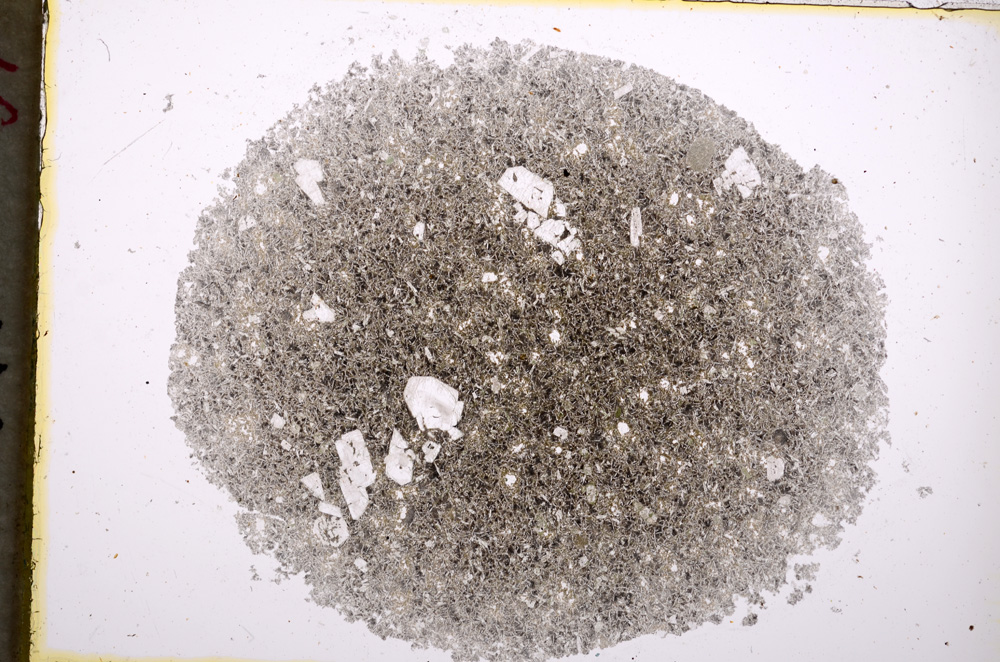 Plane Polarized, E18556