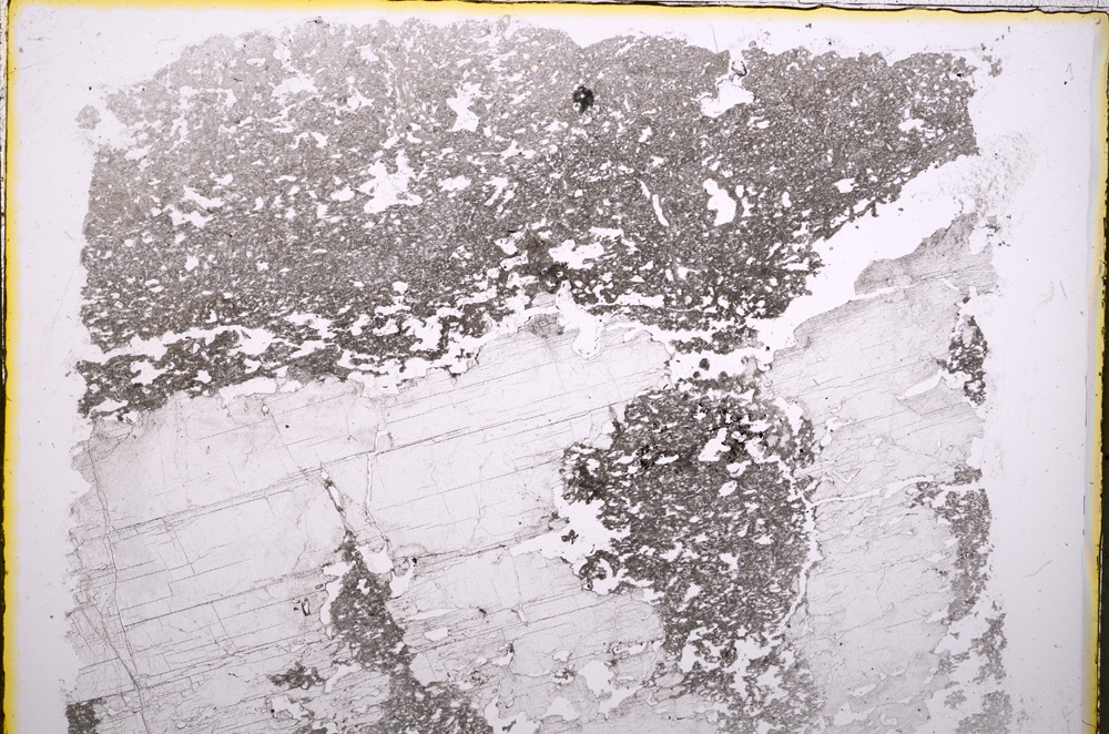 Plane Polarized, E18581