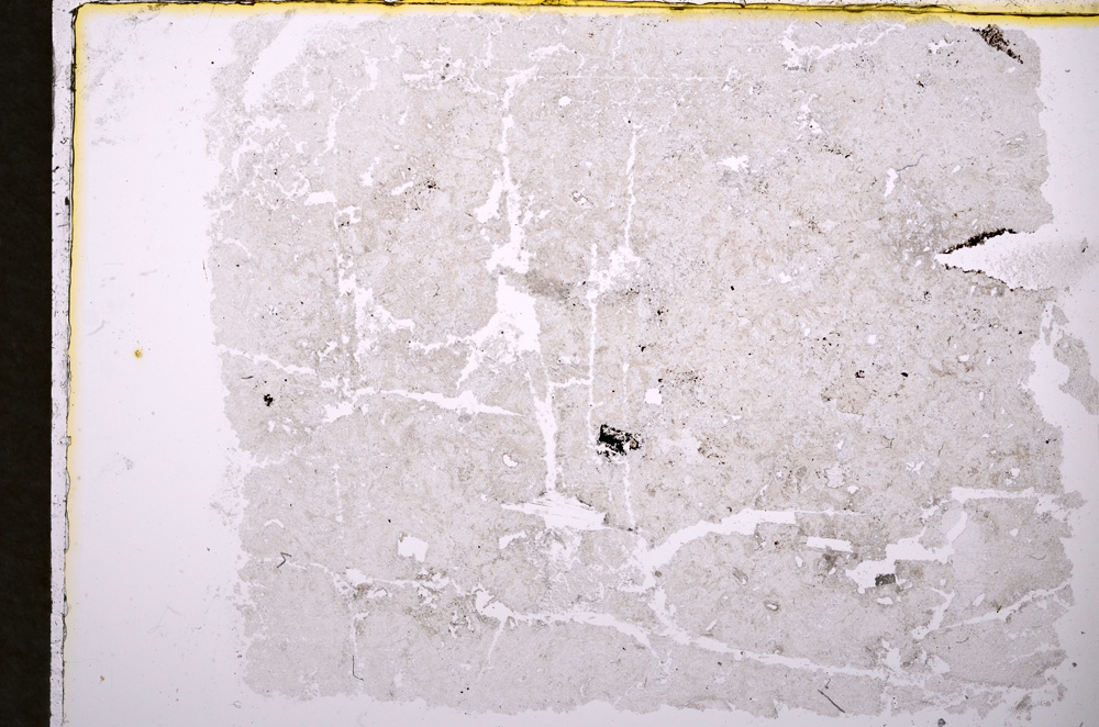 Plane Polarized, E18582