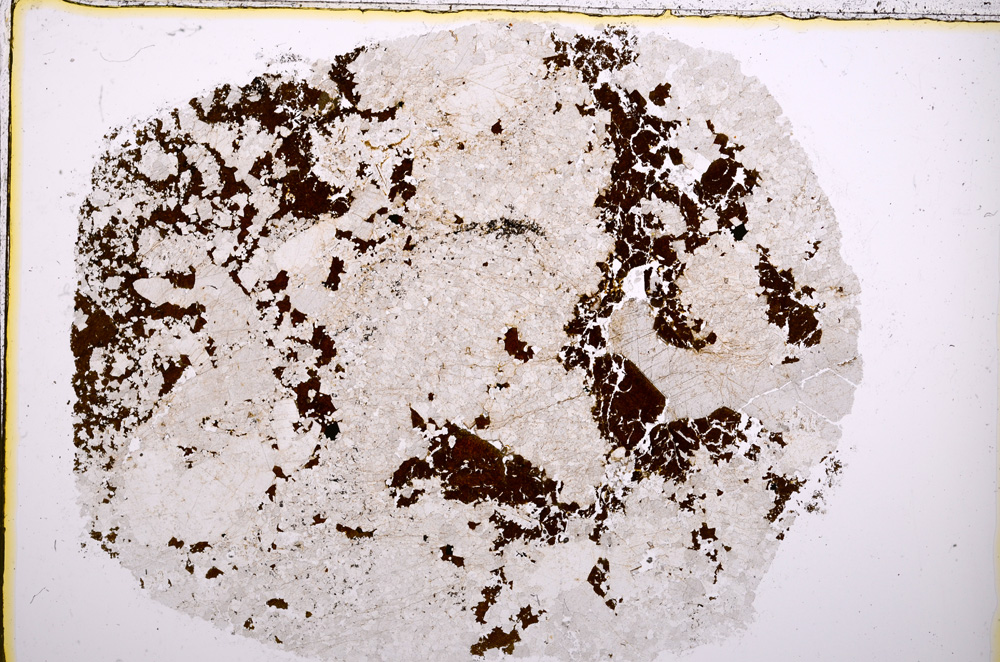 Plane Polarized, E18586