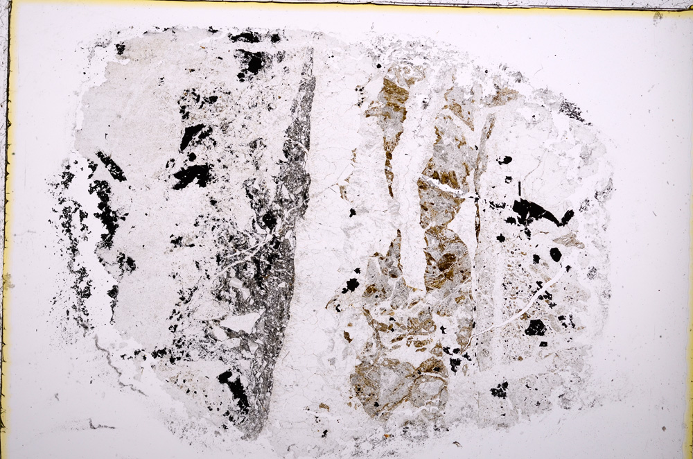 Plane Polarized, E18589