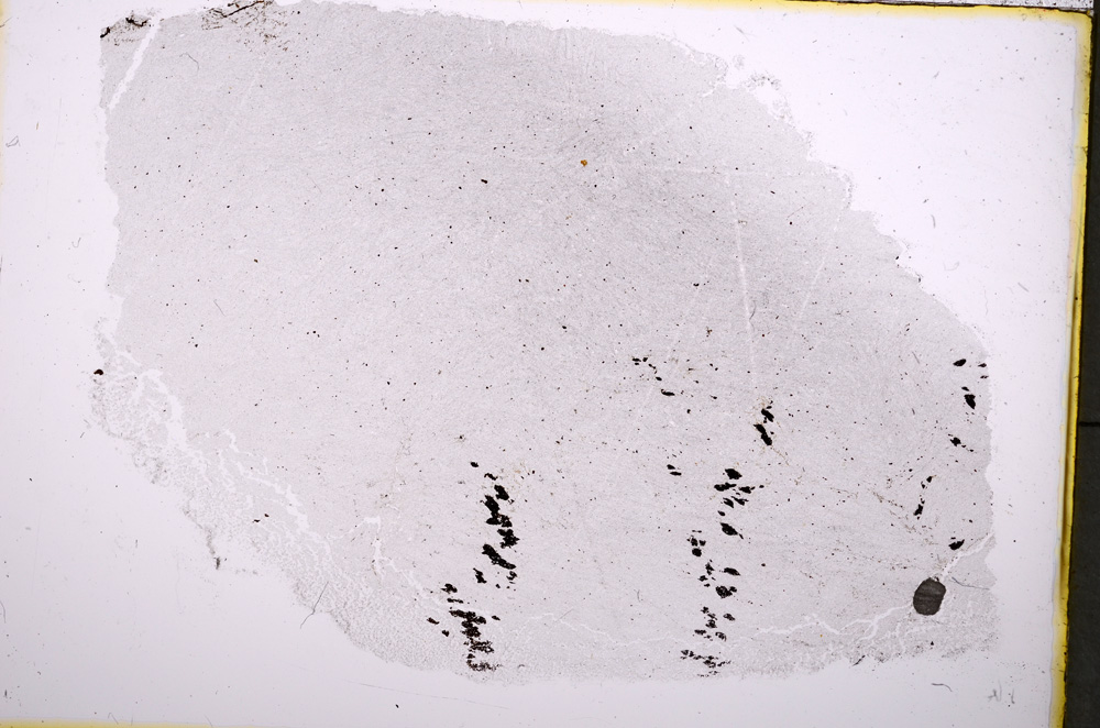 Plane Polarized, E18591