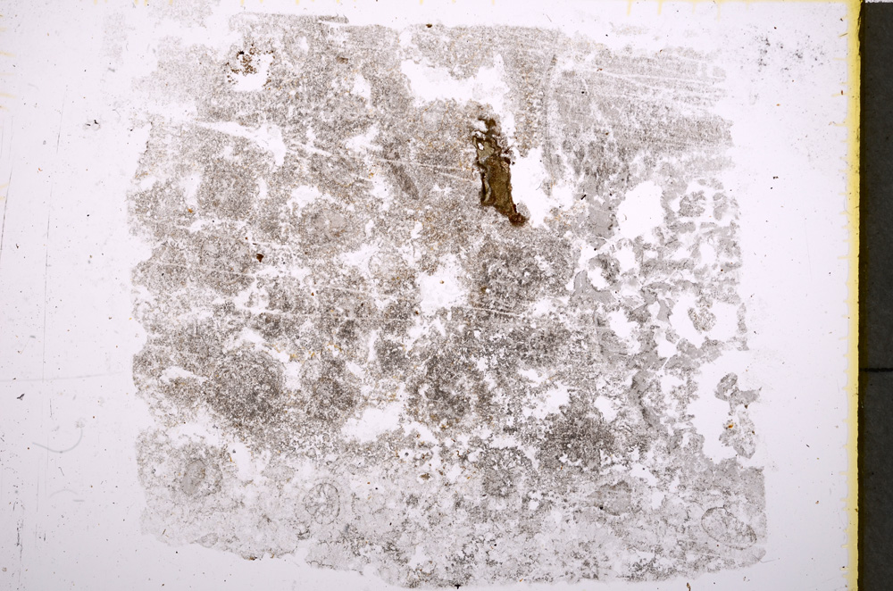 Plane Polarized, E18592