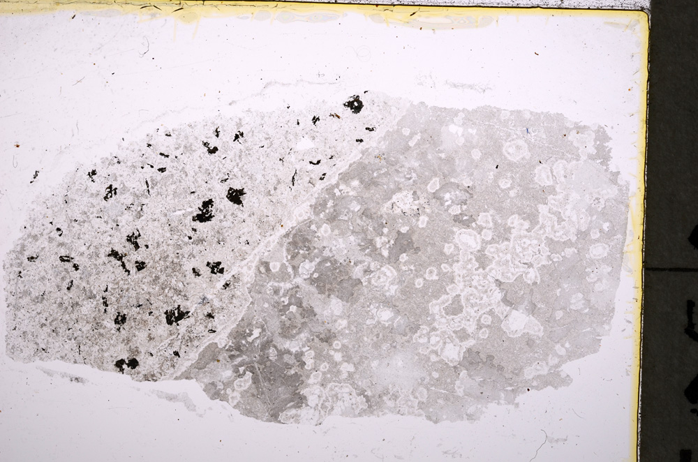 Plane Polarized, E18615