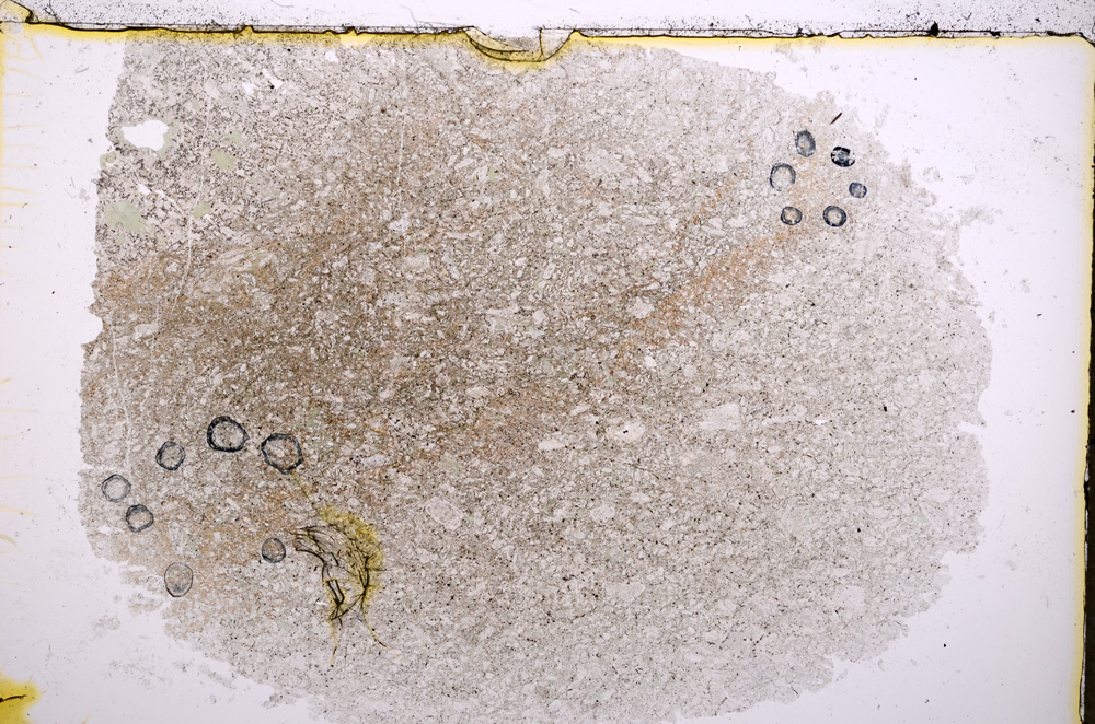 Plane Polarized, E18637