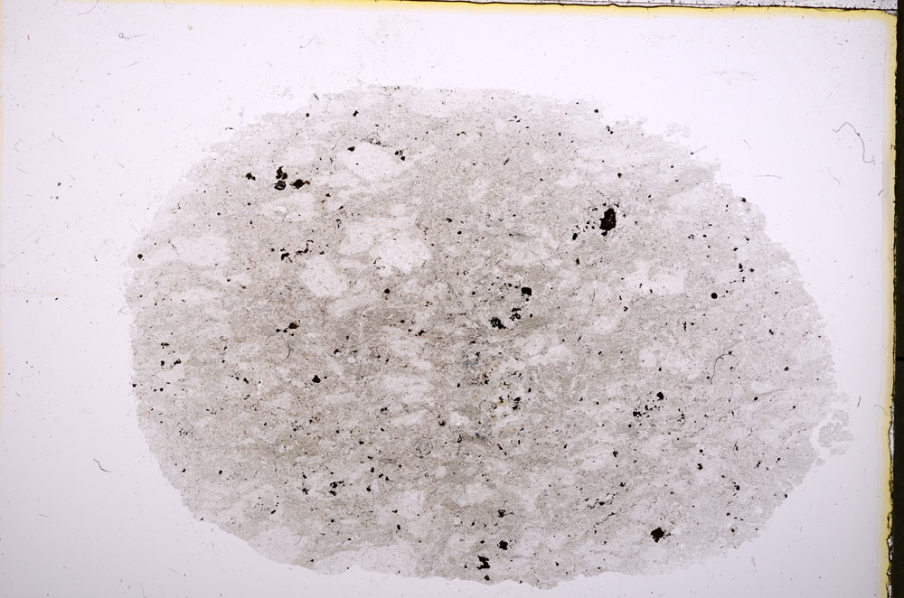 Plane Polarized, E18651