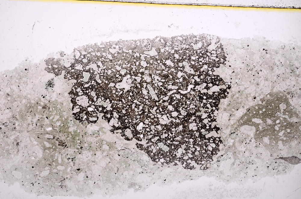 Plane Polarized, E18666