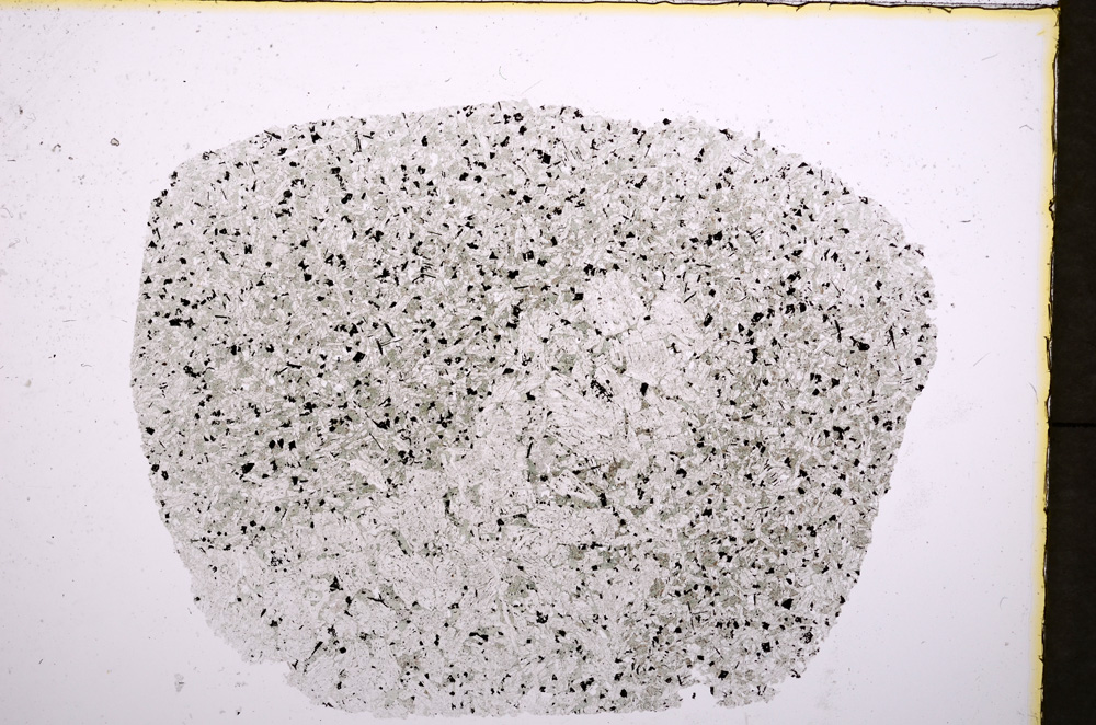 Plane Polarized, E18669