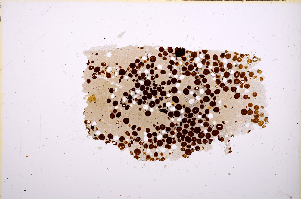 Plane Polarized, E18688