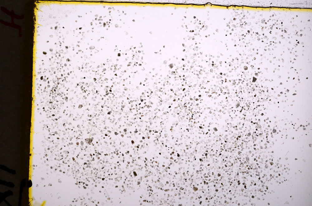 Plane Polarized, E18699