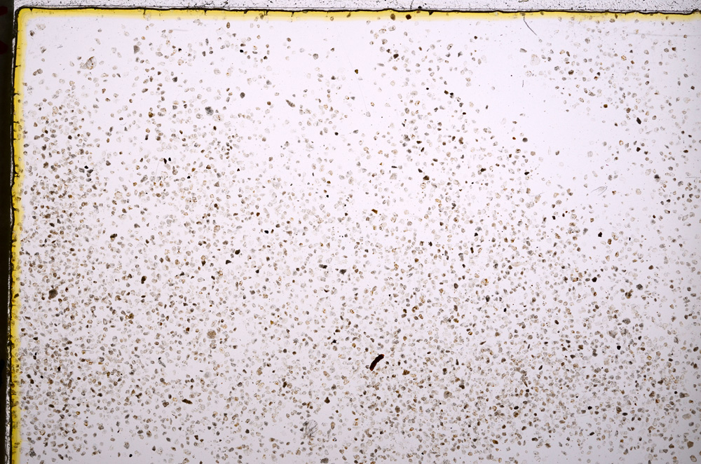 Plane Polarized, E18700