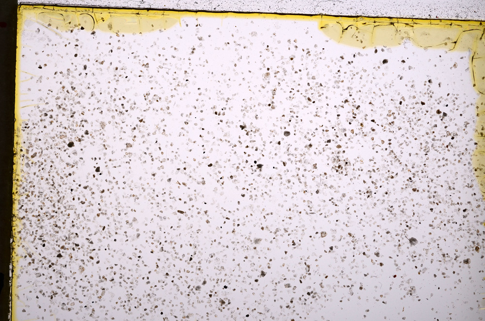 Plane Polarized, E18702