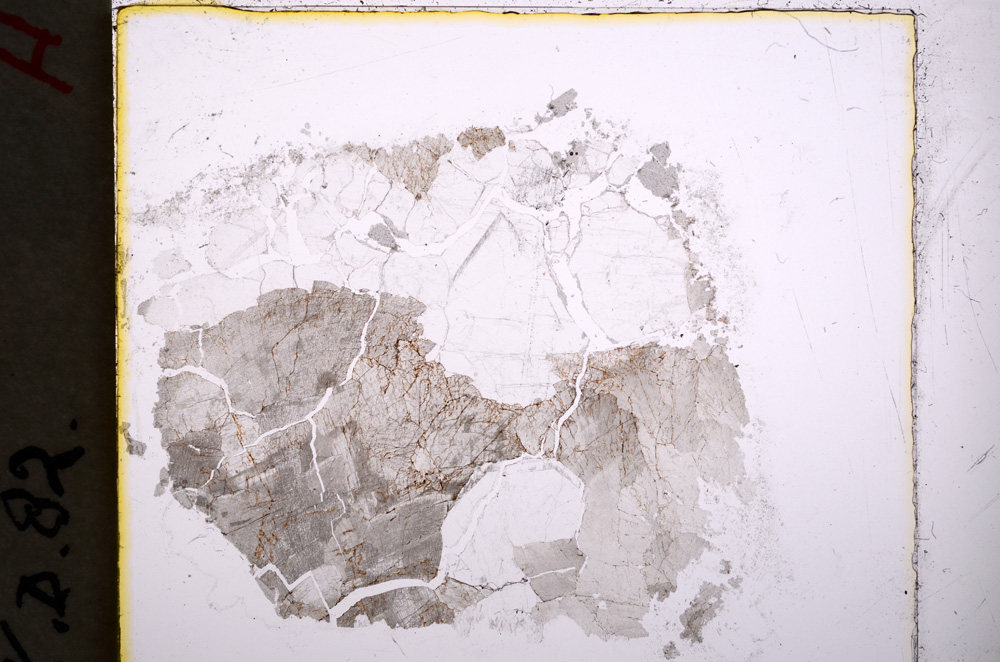 Plane Polarized, E18726