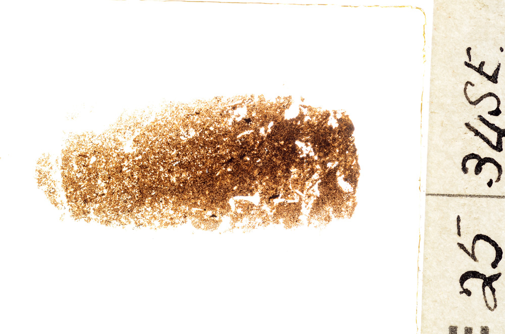Plane Polarized, E18732