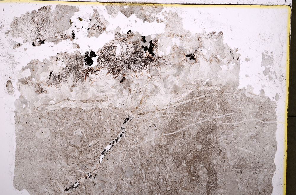 Plane Polarized, E18772