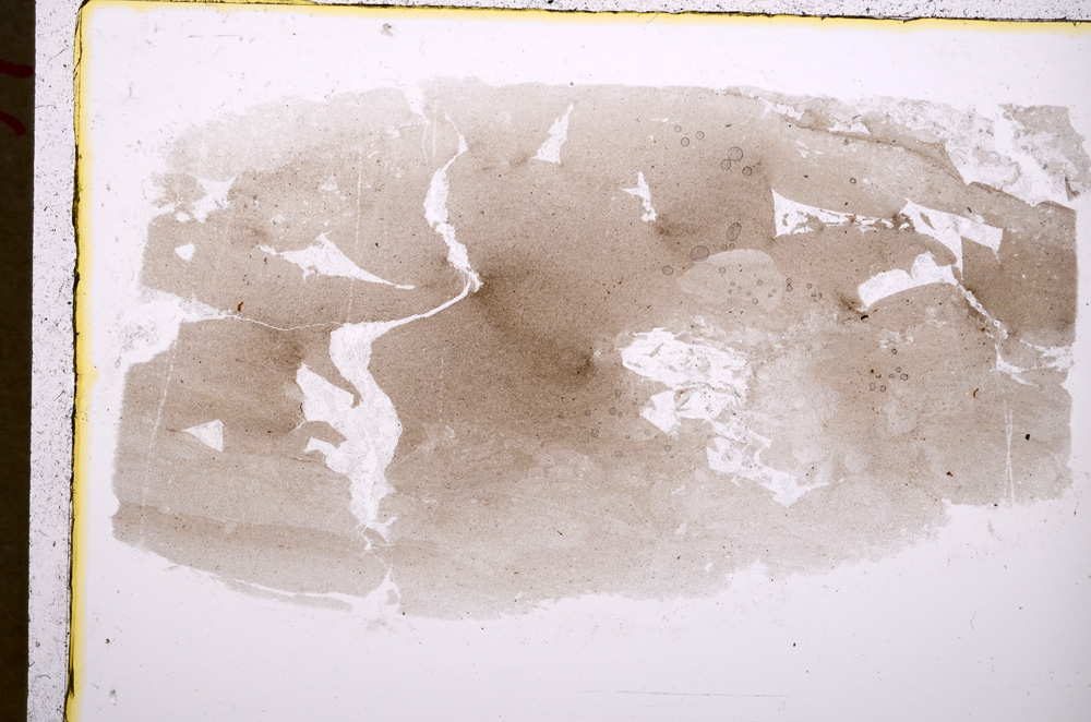 Plane Polarized, E18790