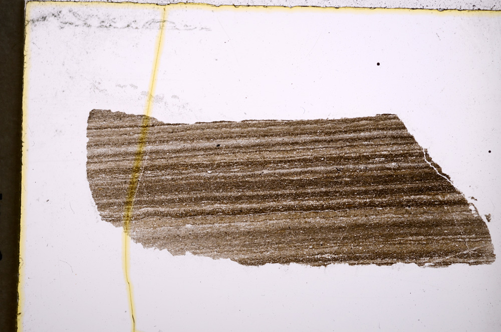 Plane Polarized, E18801