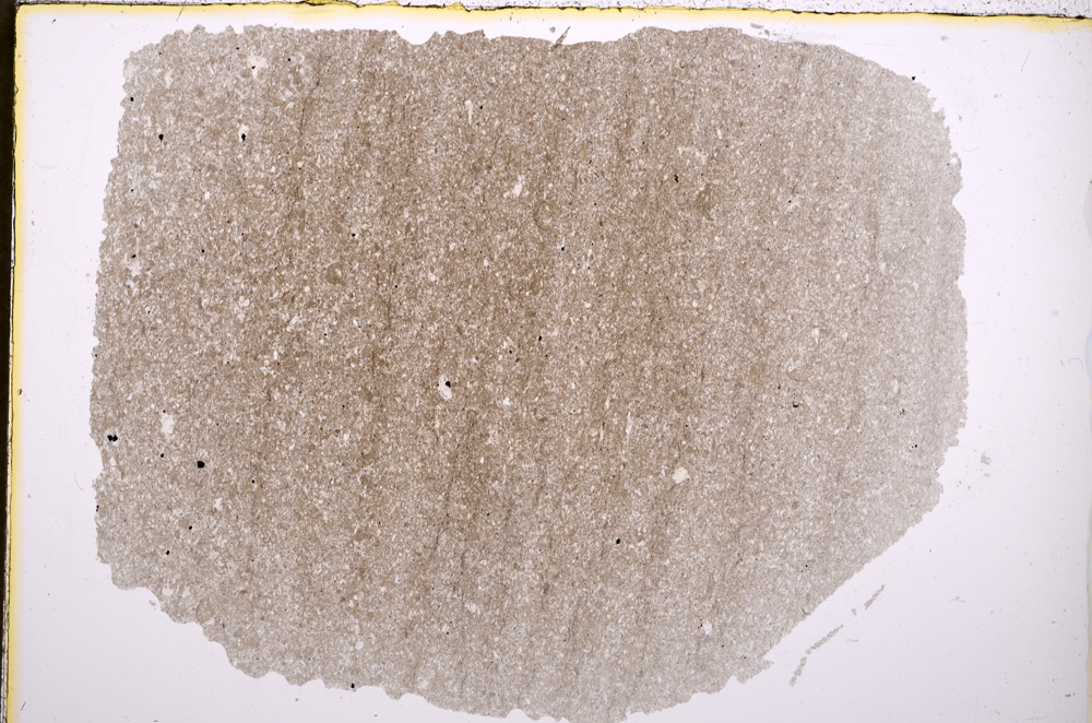 Plane Polarized, E18808