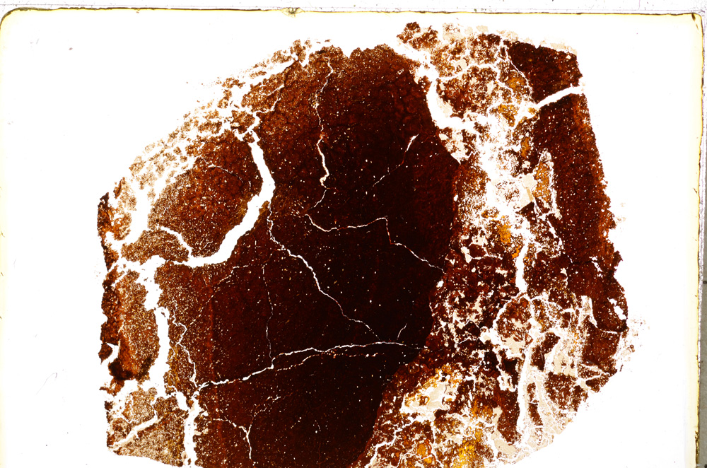 Plane Polarized, E18814