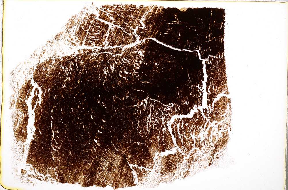 Plane Polarized, E18815