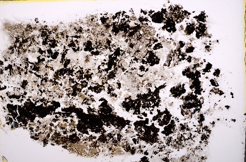 Plane Polarized, E18816