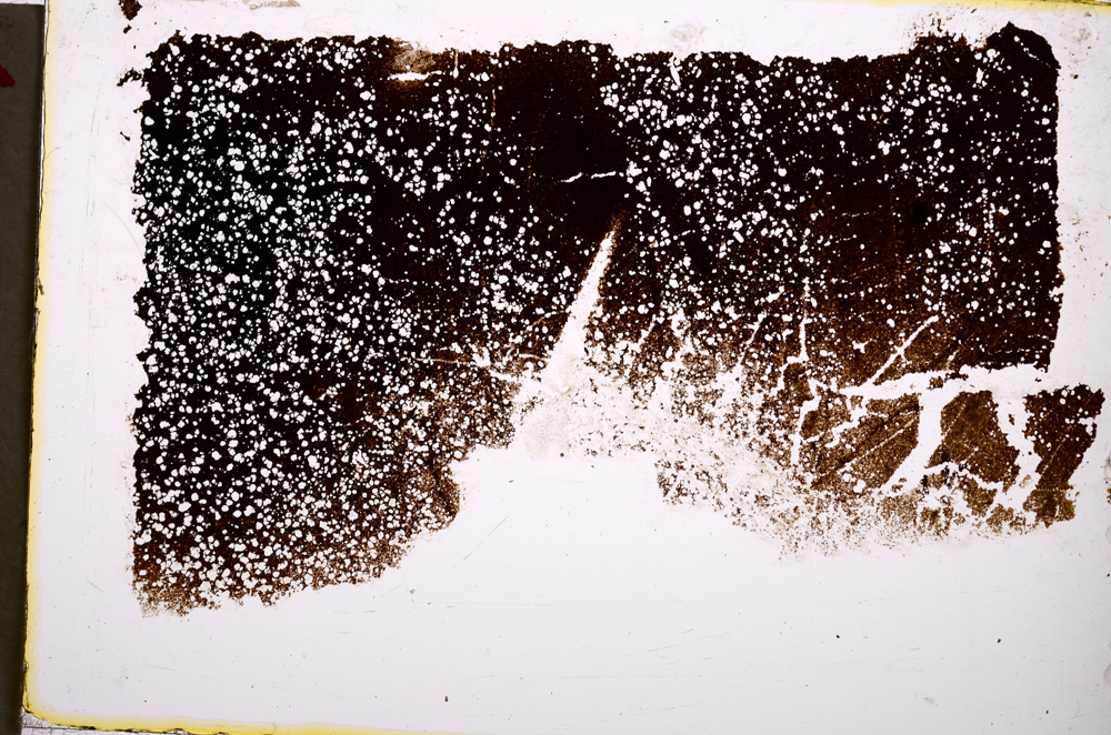 Plane Polarized, E18839
