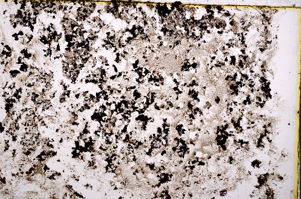 Plane Polarized, E18840