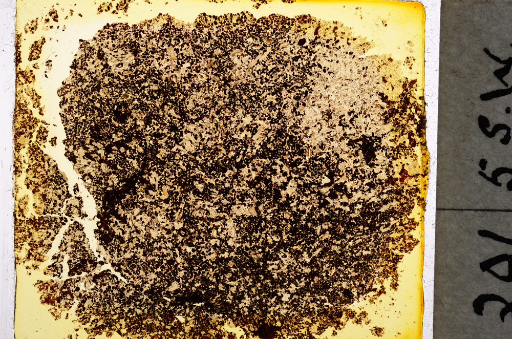 Plane Polarized, E18846/A