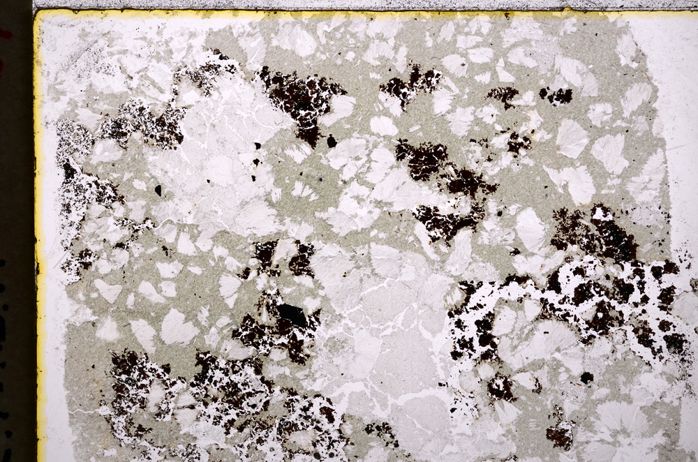 Plane Polarized, E18851