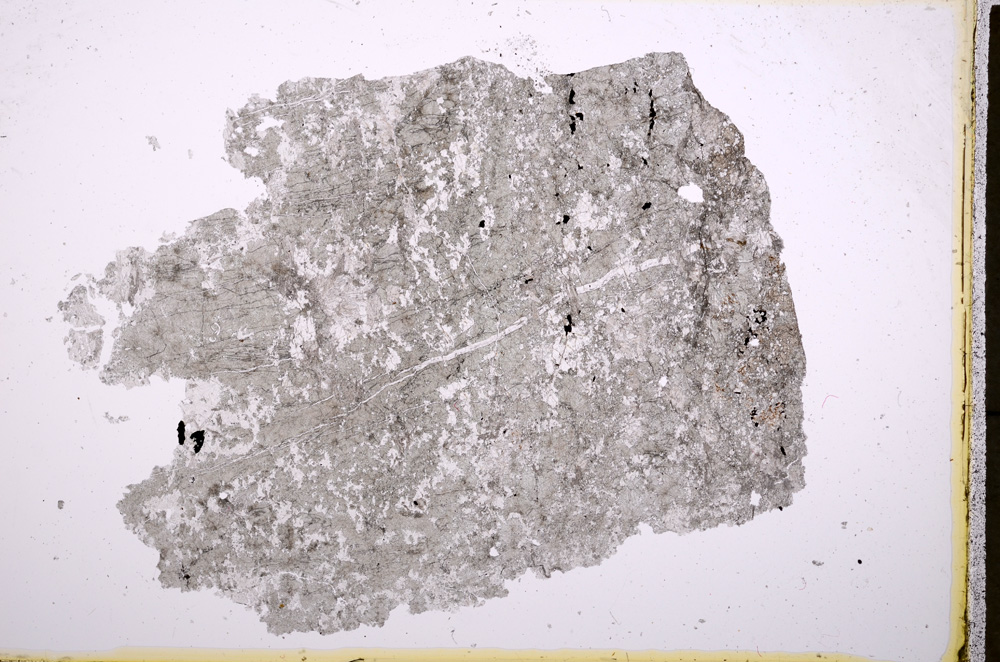 Plane Polarized, E18853