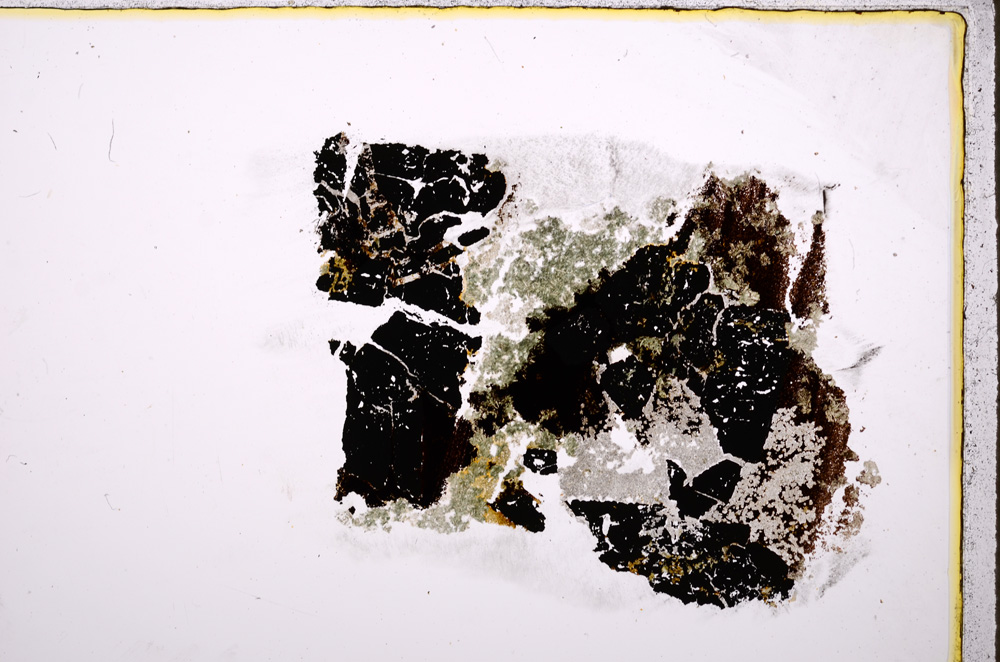Plane Polarized, E18855