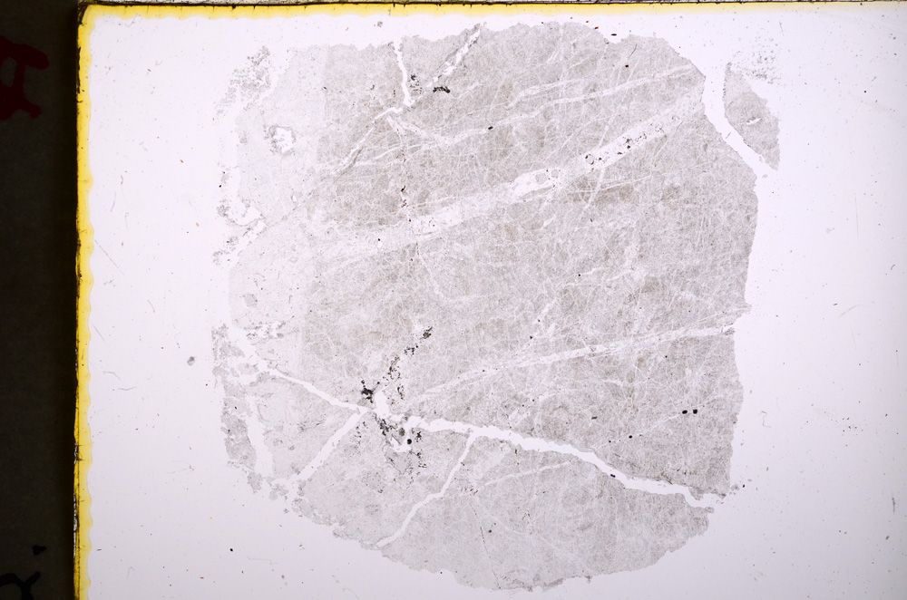 Plane Polarized, E18858