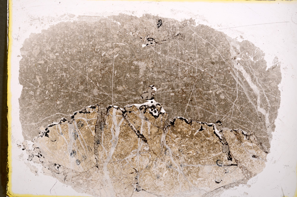 Plane Polarized, E18868