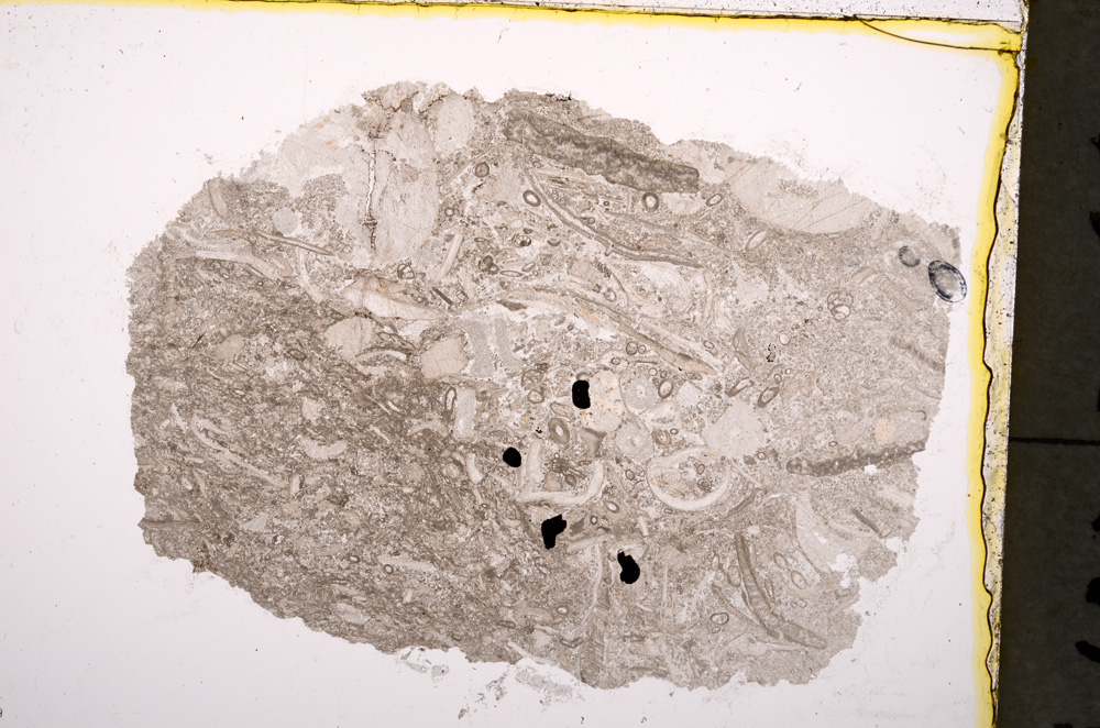 Plane Polarized, E18870