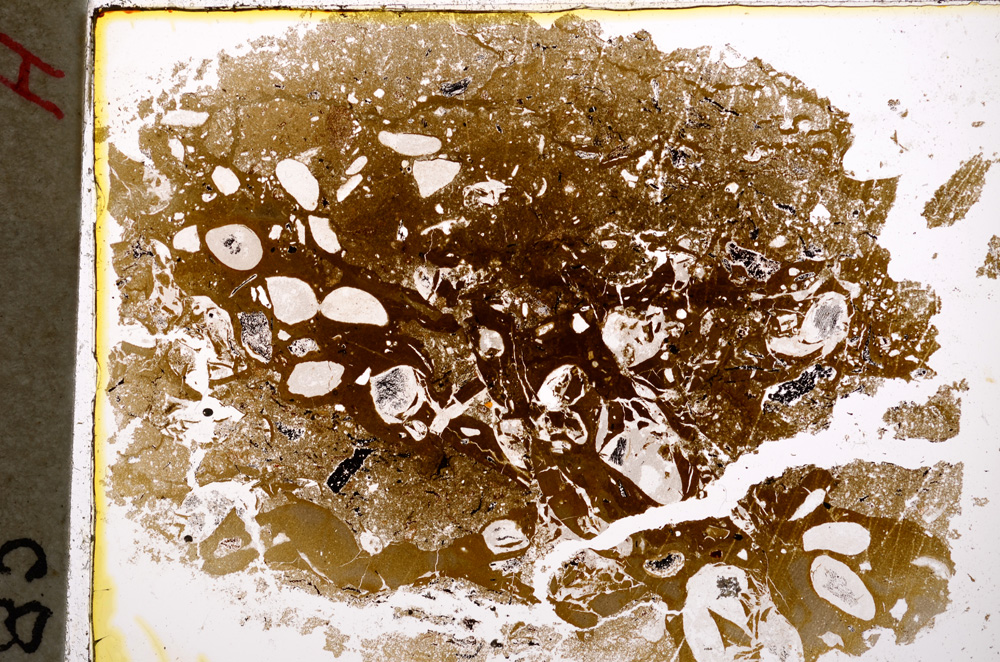 Plane Polarized, E18876