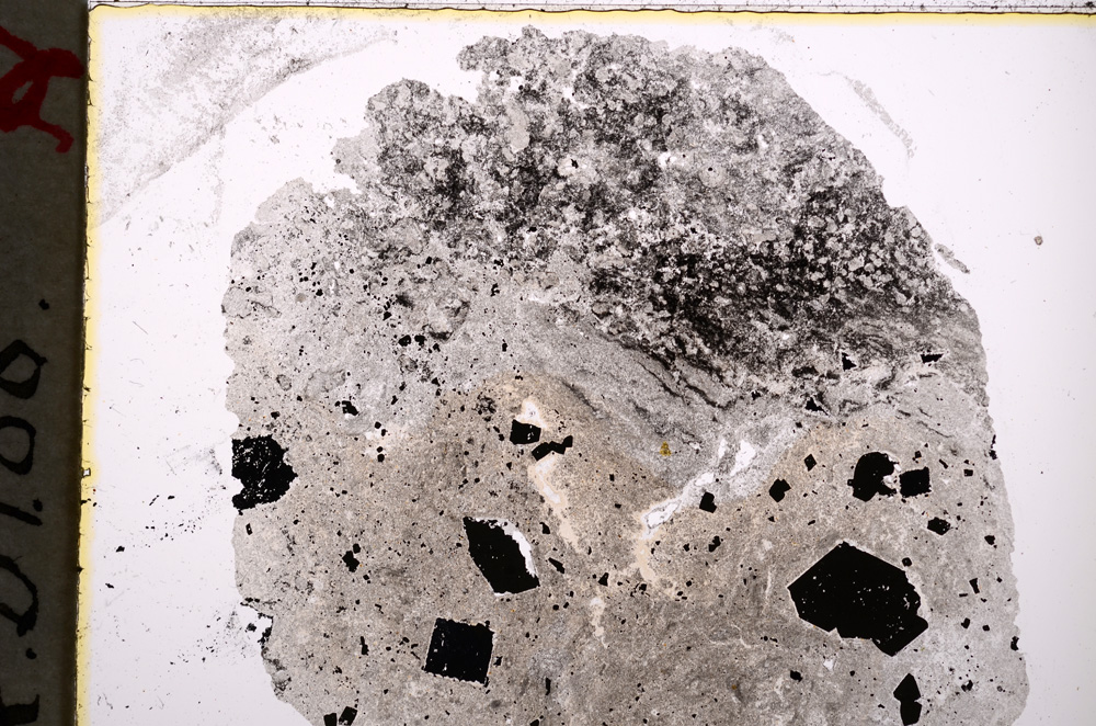 Plane Polarized, E18890