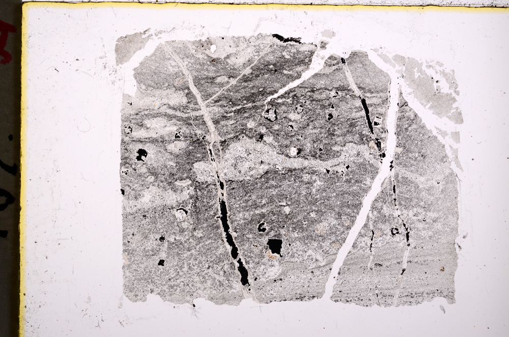 Plane Polarized, E18891