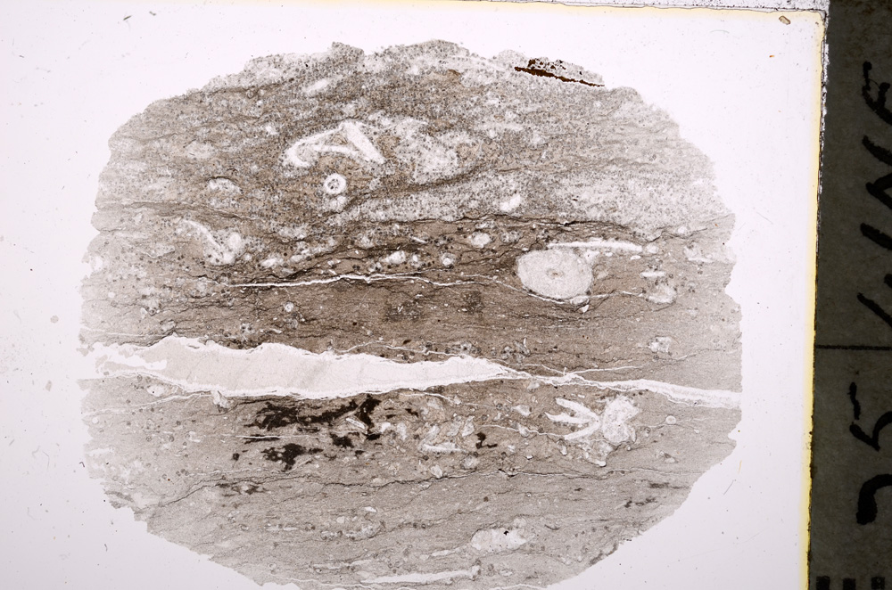 Plane Polarized, E18893