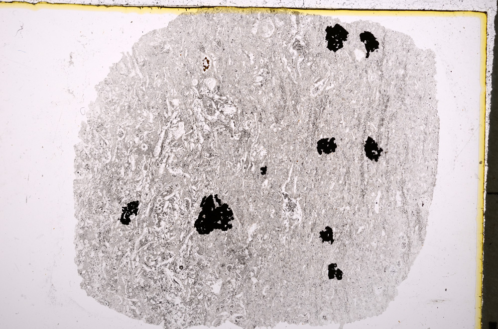 Plane Polarized, E18894