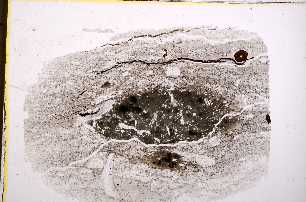 Plane Polarized, E18895