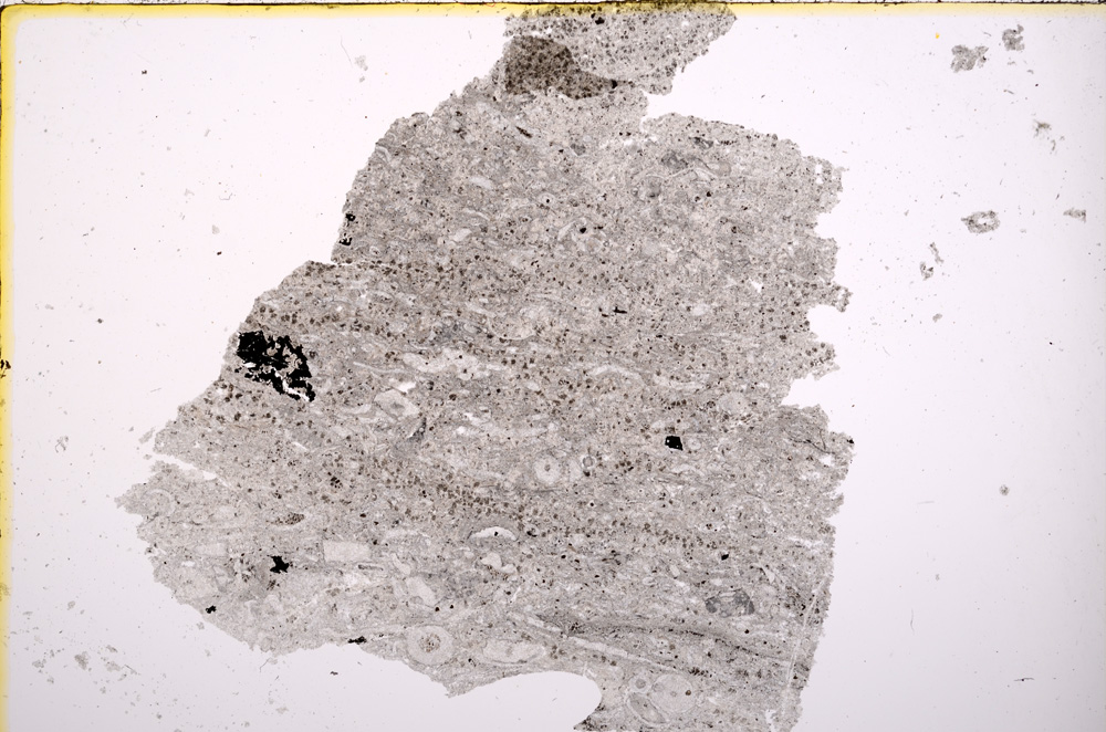 Plane Polarized, E18897