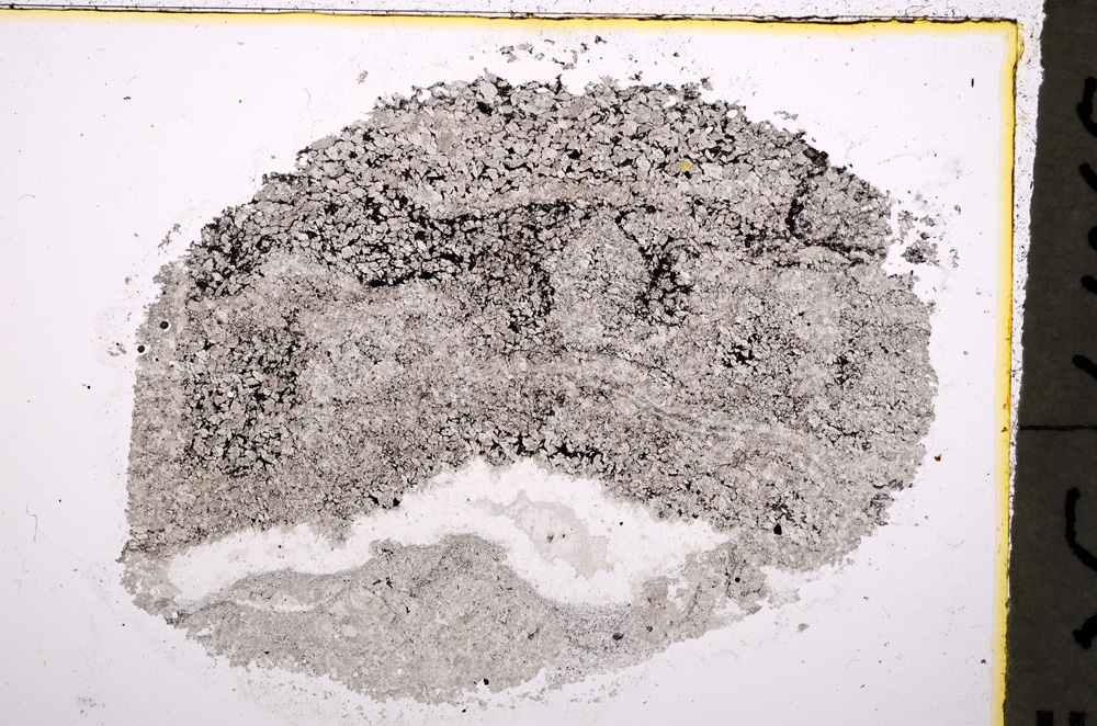 Plane Polarized, E18900