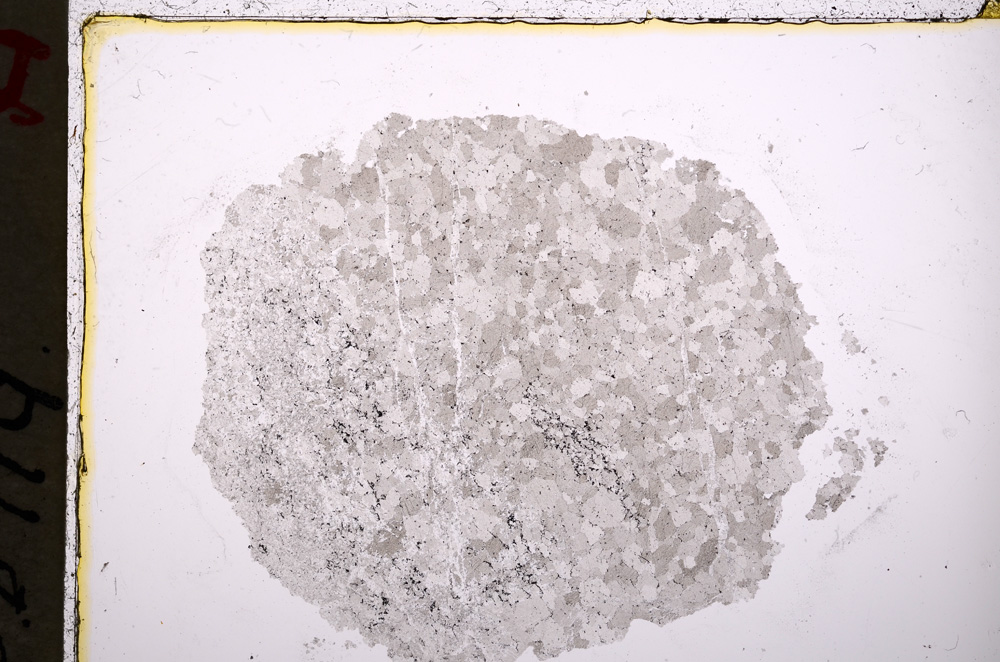 Plane Polarized, E18902