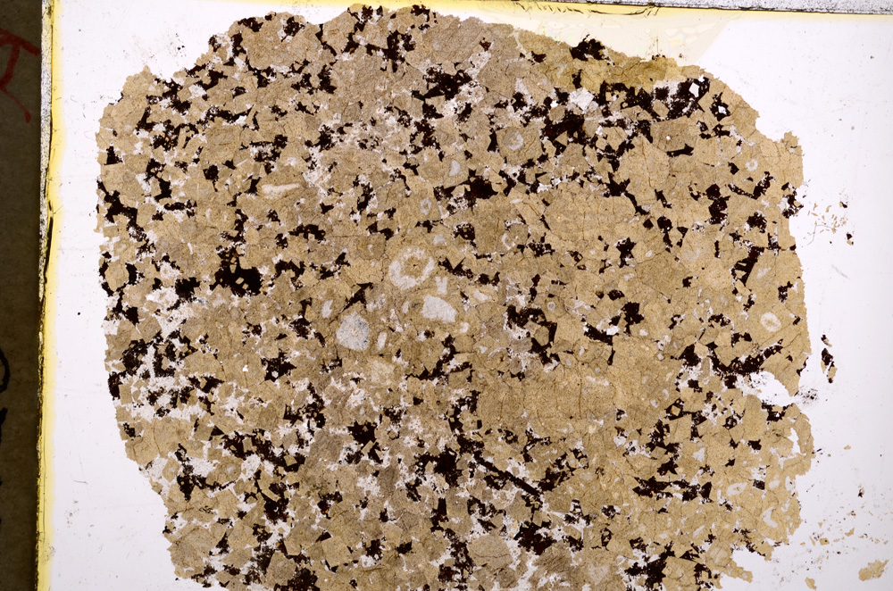 Plane Polarized, E18903/A